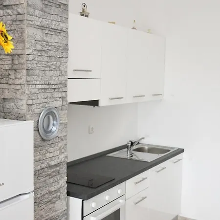 Διαμέρισμα Apartment In Razanac With Sea View, Terrace, Air Conditioning, Wifi 4841-1 *