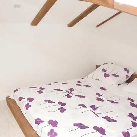 Apartment In Razanac With Sea View, Terrace, Air Conditioning, Wifi 4841-1 Διαμέρισμα